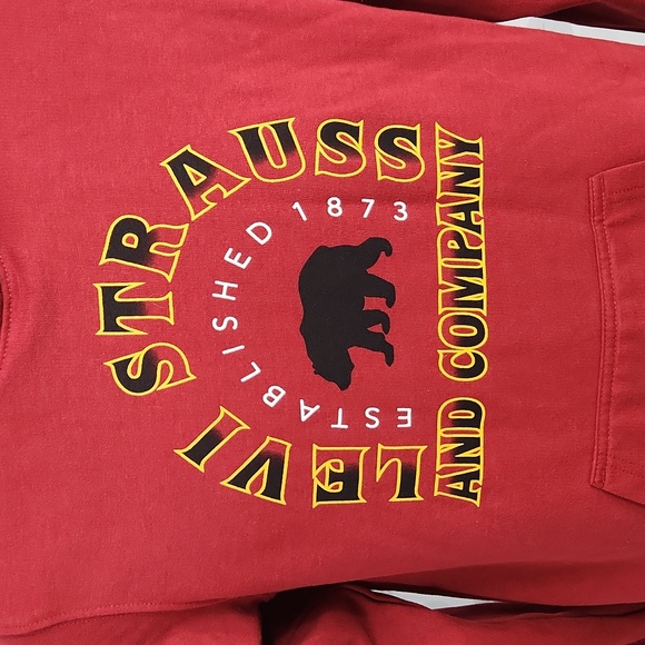 Levi's Youth Hoodie - Picture 4 of 8